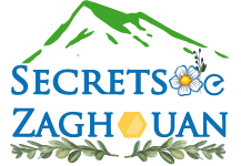 SECRETS DE ZAGHOUAN